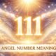 Angel Number 111