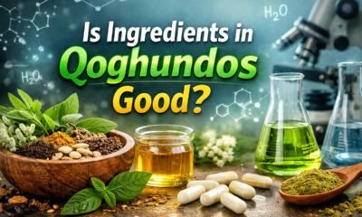 Is Ingredients in Qoghundos Good