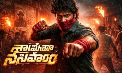 Saripodhaa Sanivaaram