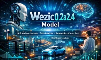 Wezic0.2a2.4 Model