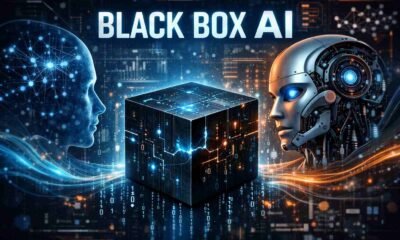 Black Box AI