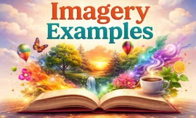 Imagery Examples