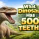 What Dinosaur Has 500 Teeth
