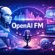 OpenAI FM