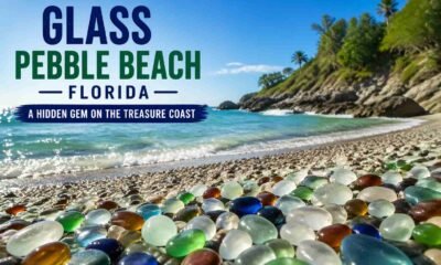 Glass Pebble Beach Florida