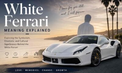 White Ferrari Meaning