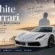 White Ferrari Meaning