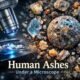 Human Ashes Under a Microscope