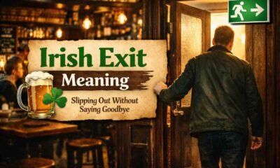 Irish Exit Meaning