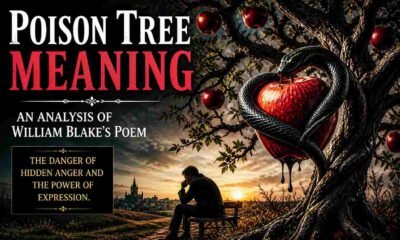Poison Tree Meaning