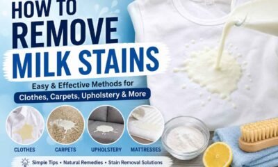 How to Remove Milk Stains
