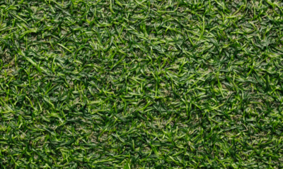 Synthetic Turf