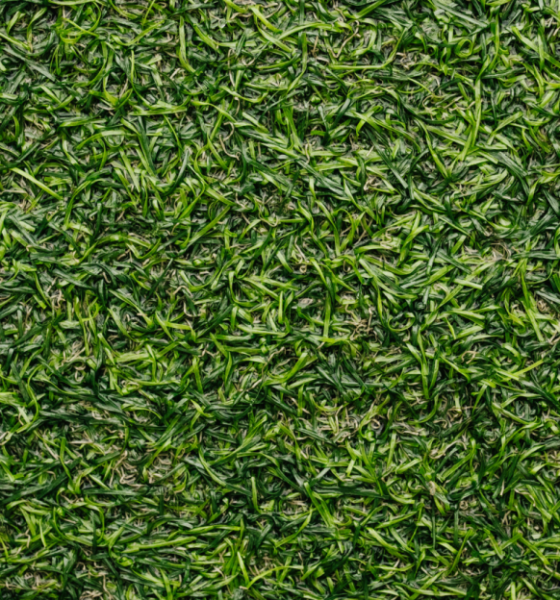 Synthetic Turf