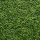 Synthetic Turf