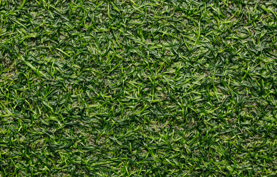 Synthetic Turf