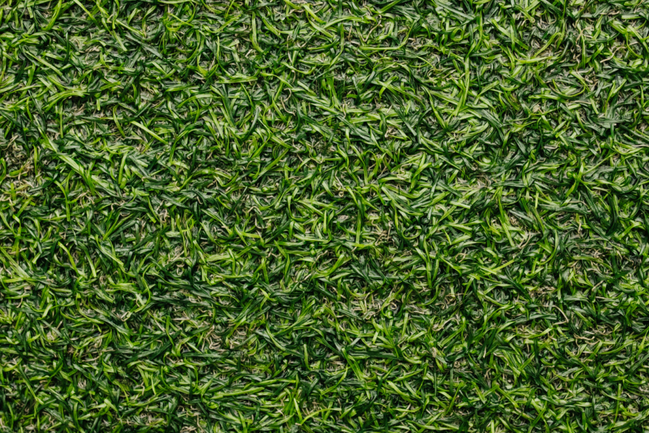 Synthetic Turf