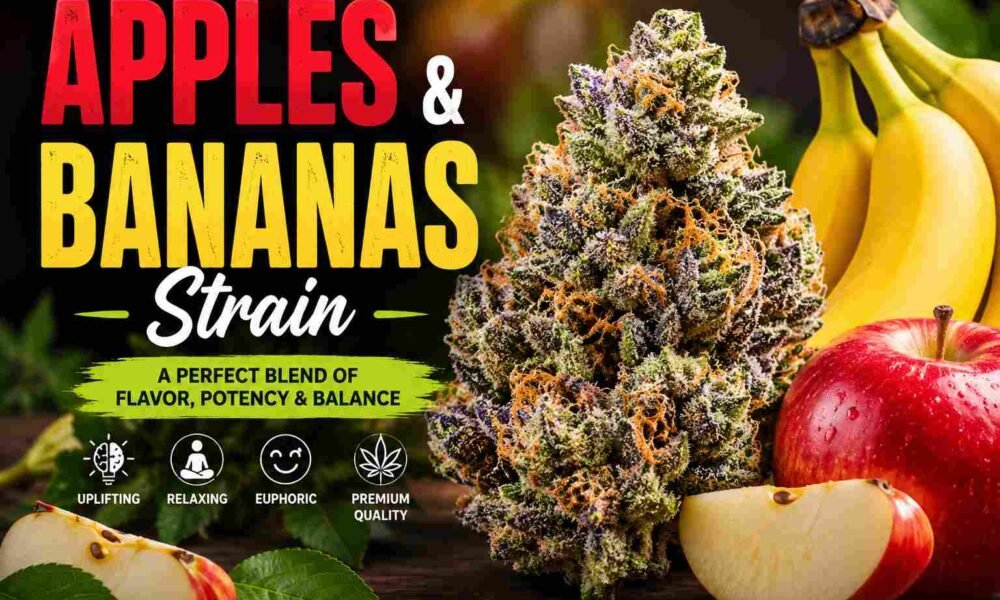 Apples and Bananas Strain