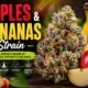 Apples and Bananas Strain