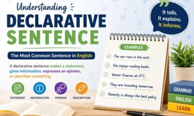 Declarative Sentence