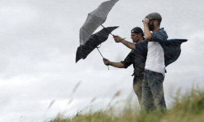 Branded Umbrellas