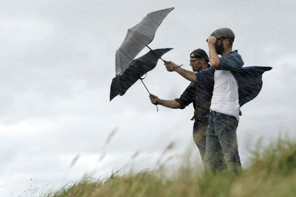 Branded Umbrellas